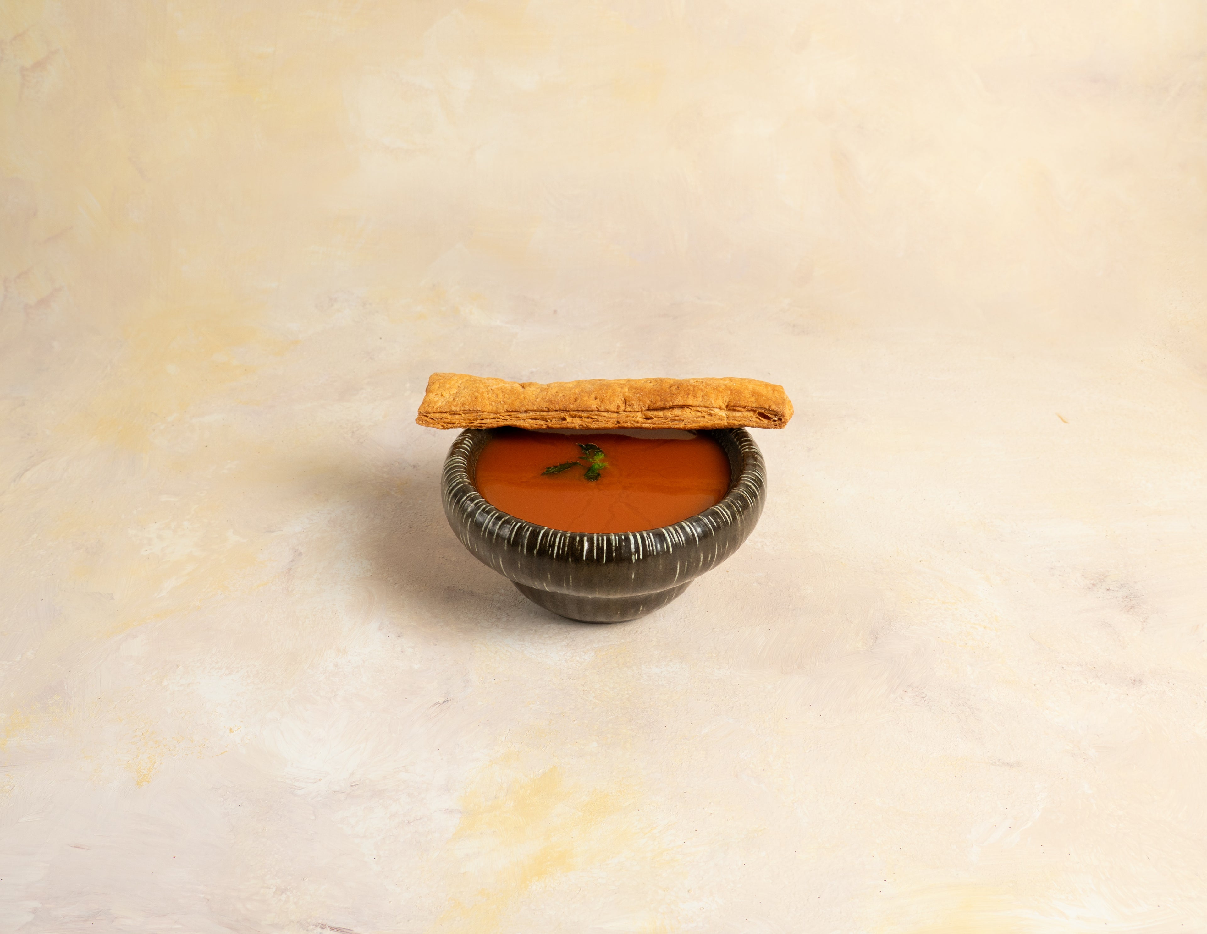 Tomato Pudina Soup